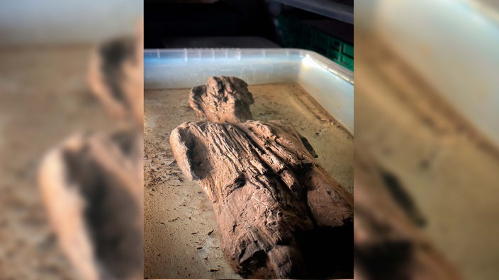 Römische Holzfigur in Großbritannien entdeckt