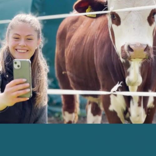 Likes für Kühe, Traktoren und Co.: Anna-Maria die Agrar-Influencerin