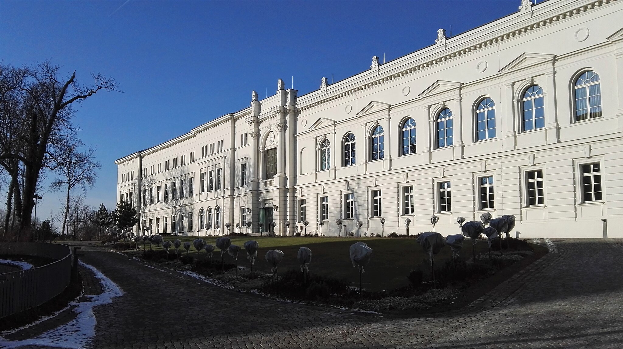 Frau an die Spitze der Leopoldina gewählt