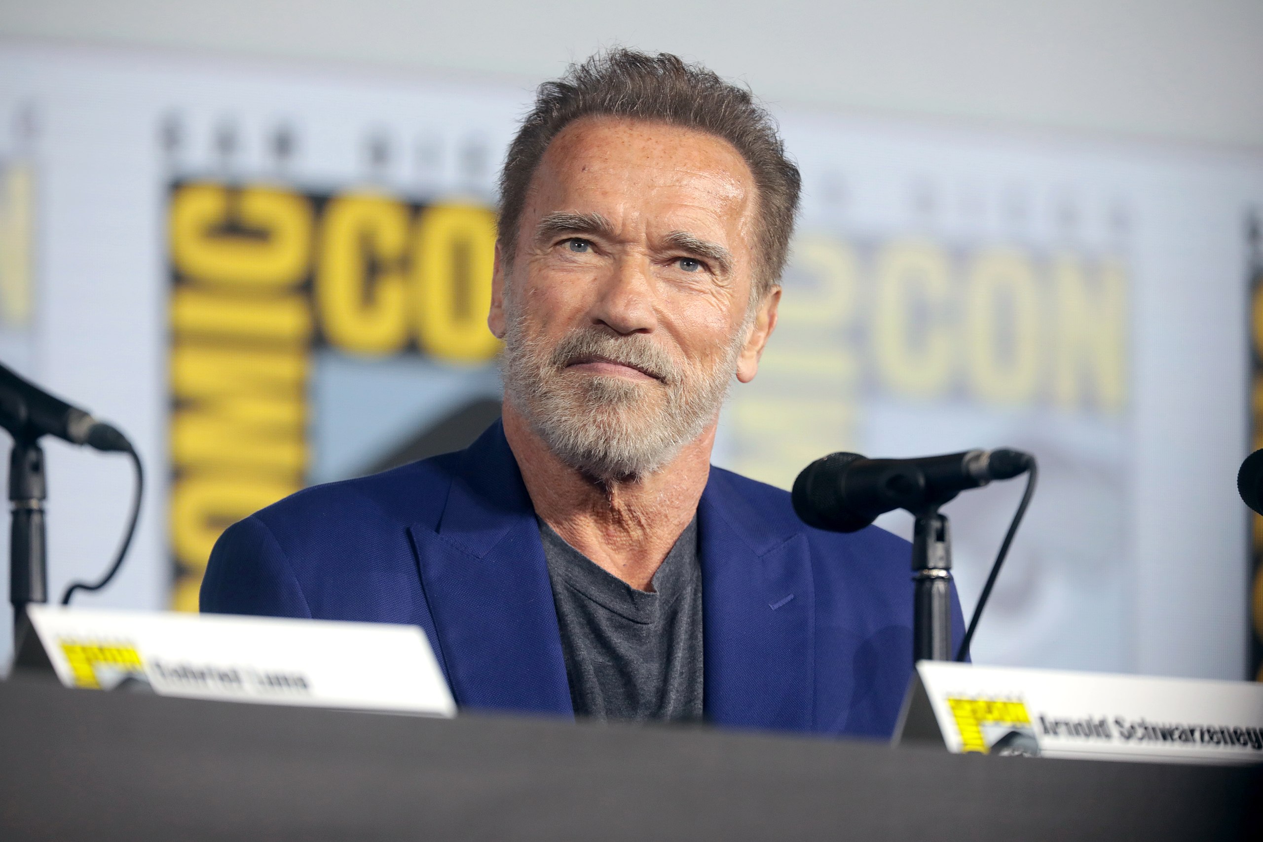 Der ehemalige Gouverneur Arnold Schwarzenegger und sein Kampf für die US-Demokratie