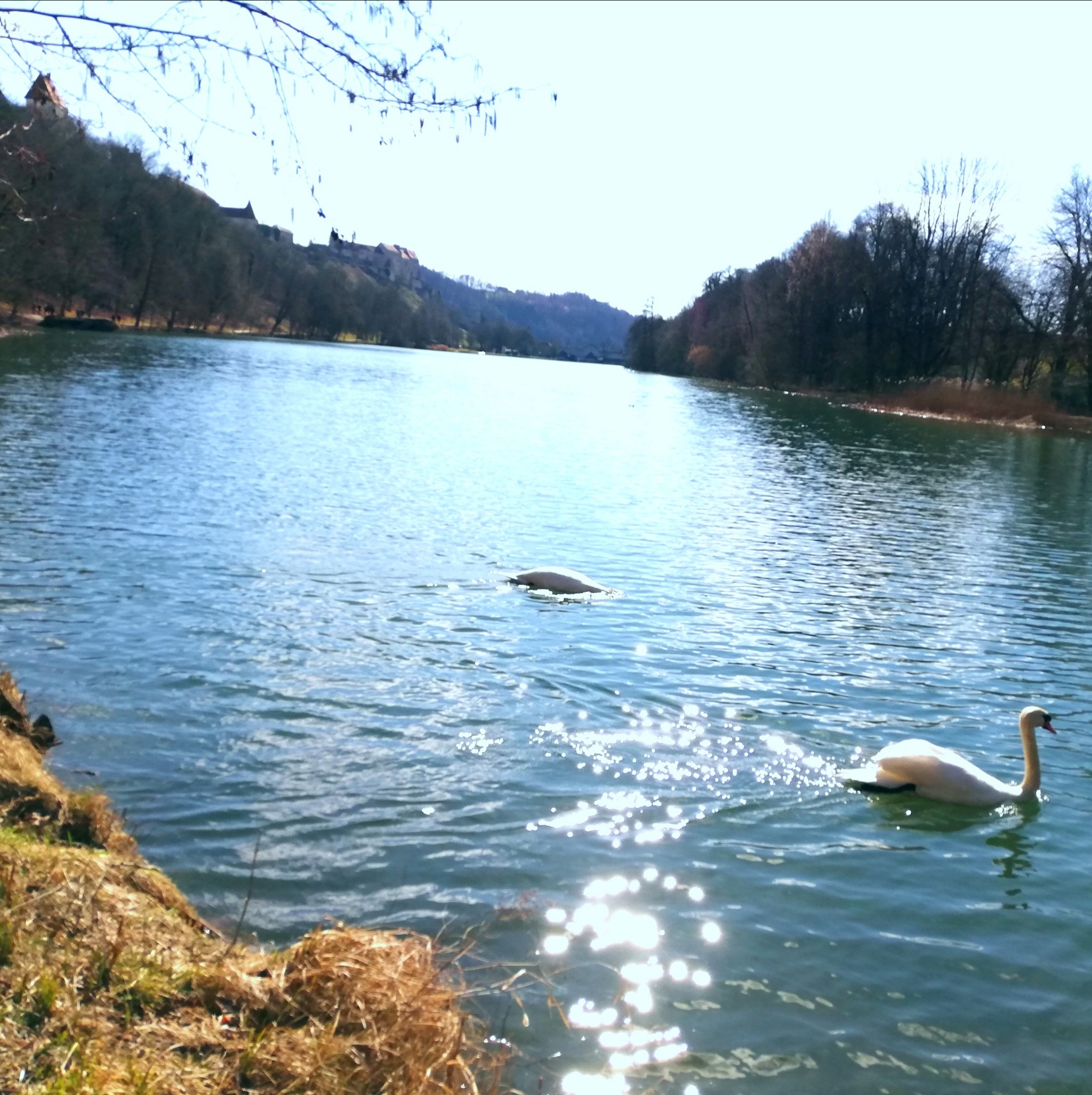 Wasser ist Schöpfung