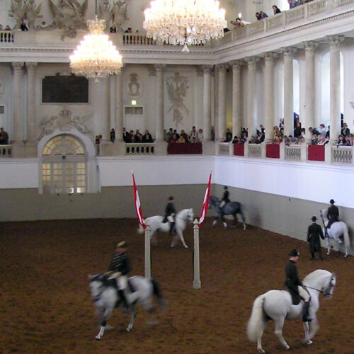 Führungswechsel an der Spanischen Hofreitschule