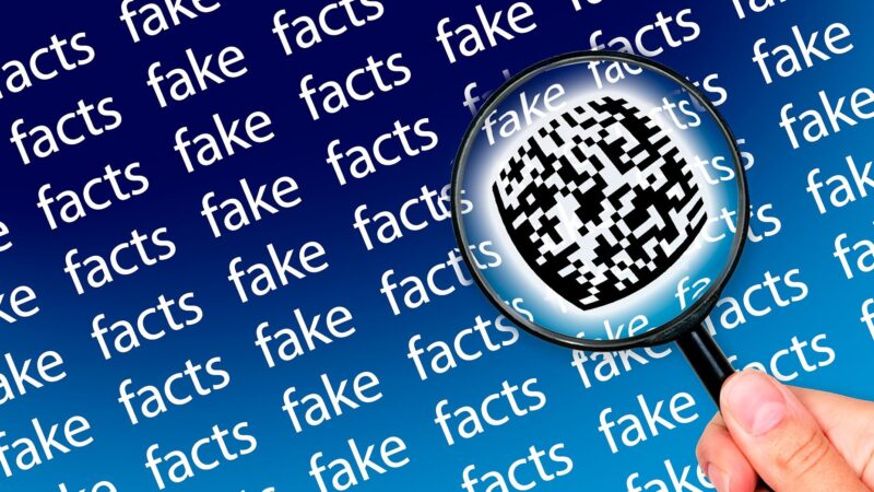 Neu bei uns: Die Kategorie „Faktencheck“