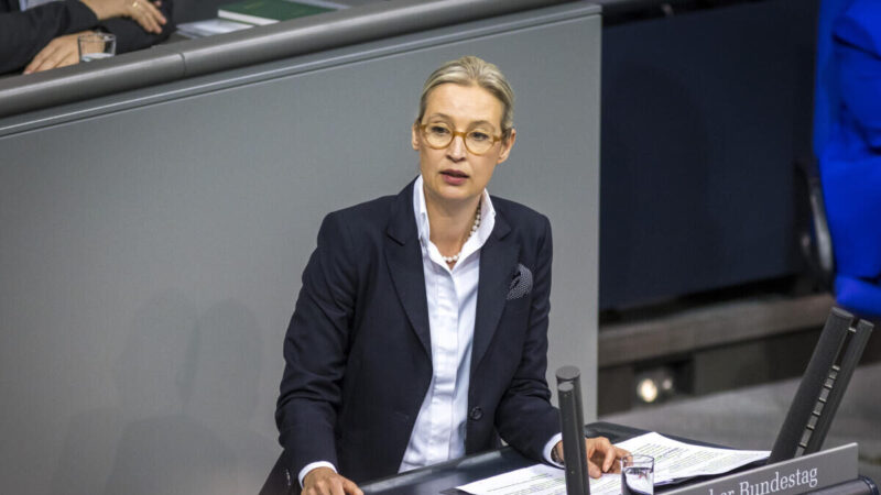 Künstliche Inszenierung: Das digitale Märchen um Alice Weidel- AFD